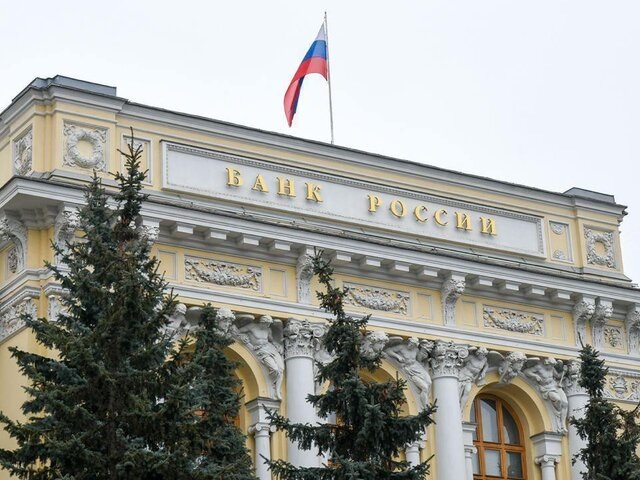    Фото: Москва 24/Никита Симонов