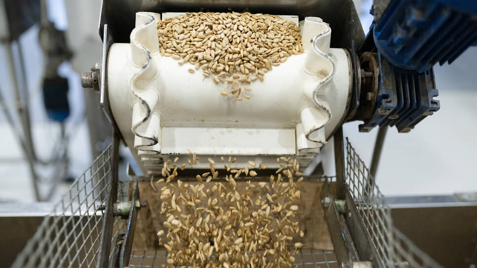 Фото: Олег Харсеев / Коммерсантъ