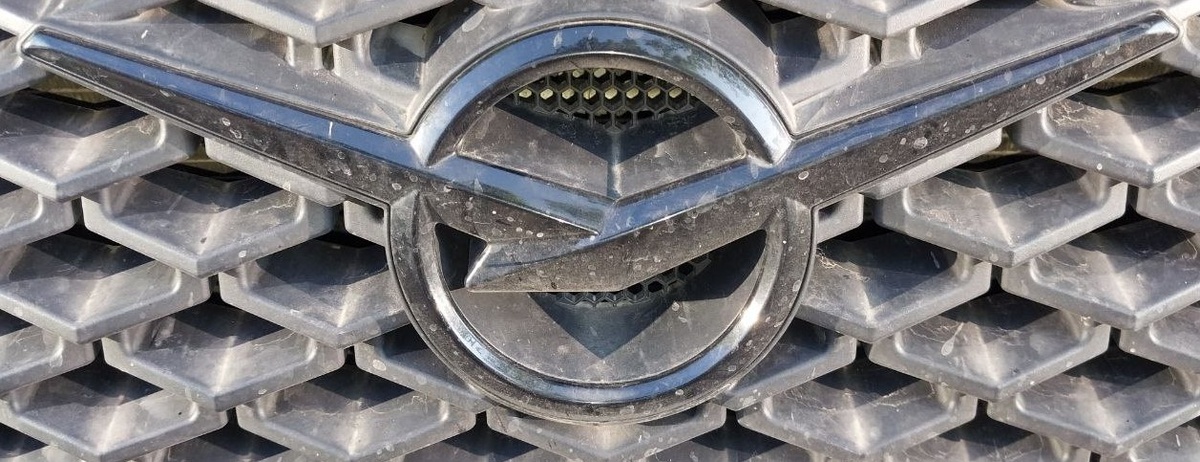 Все фото в статье авторские.