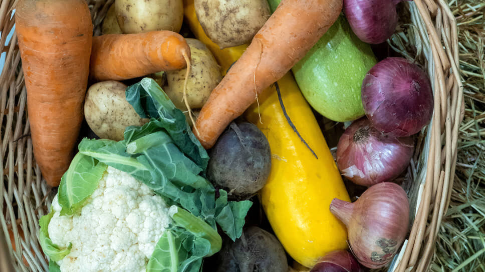 Фото: Евгений Павленко / Коммерсантъ