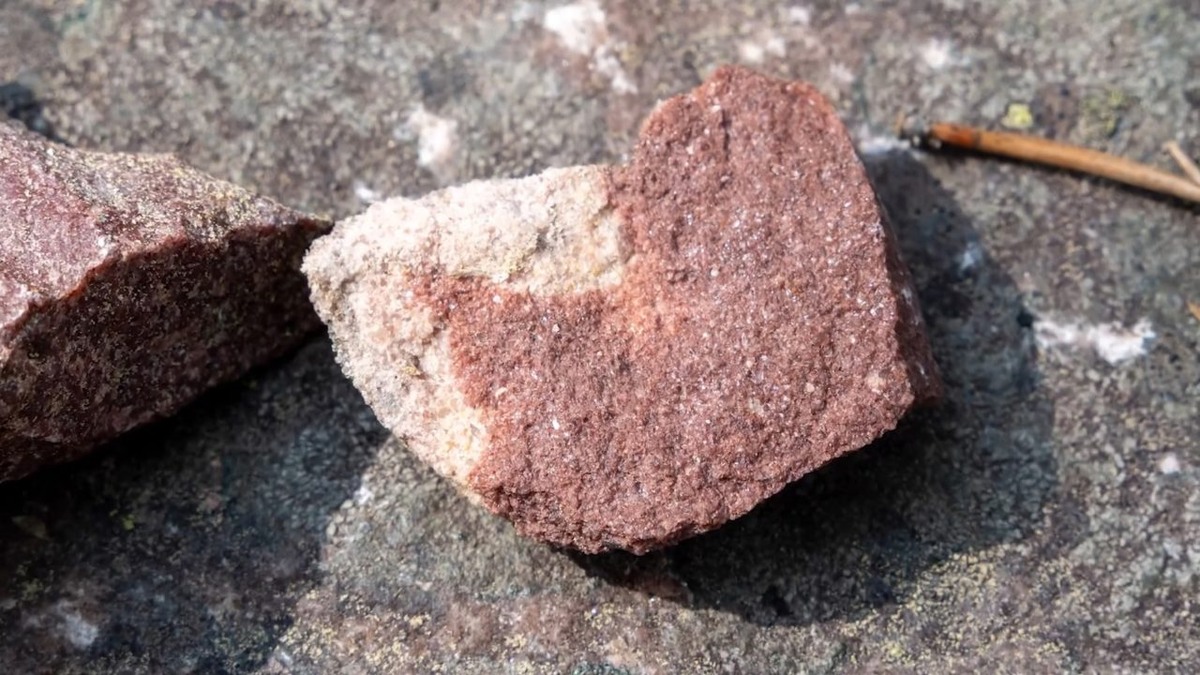    Фото: "Пилигрим"