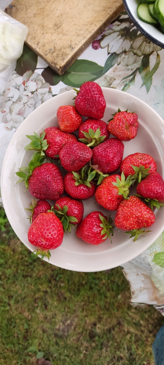 Клубники, наверное, много будет в этом году, и рано она началась)