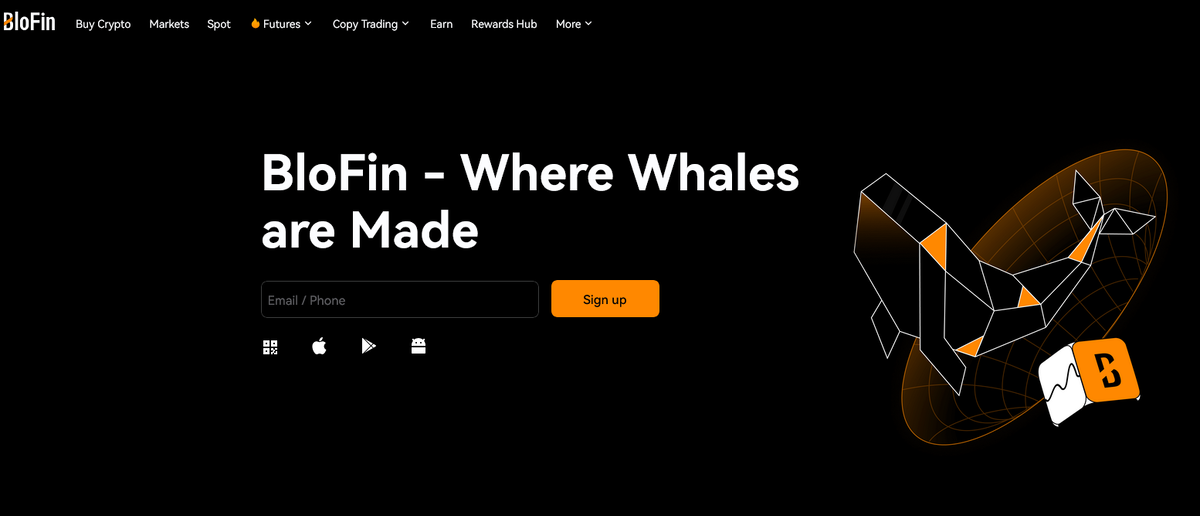 BloFin отзывы: почему с blofin.com стоит быть предельно осторожным