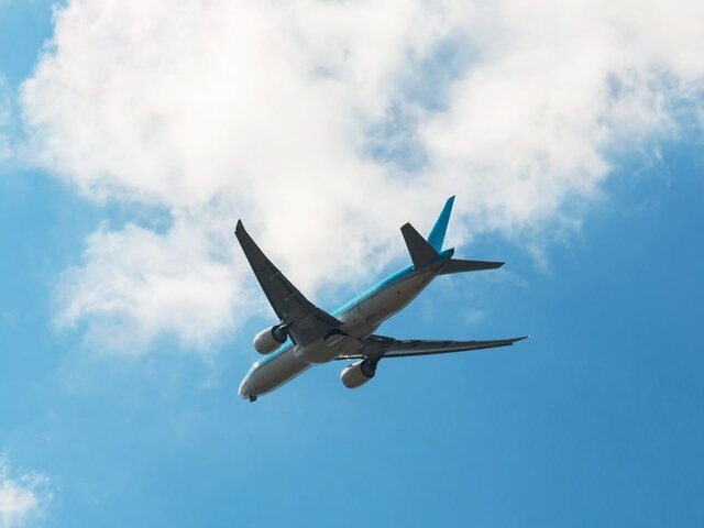    Фото: 123RF/olgavolodina