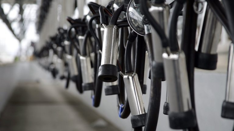    Минсельхоз Оренбуржья представил рейтинг передовиков машинного доения Алла Черкесатова