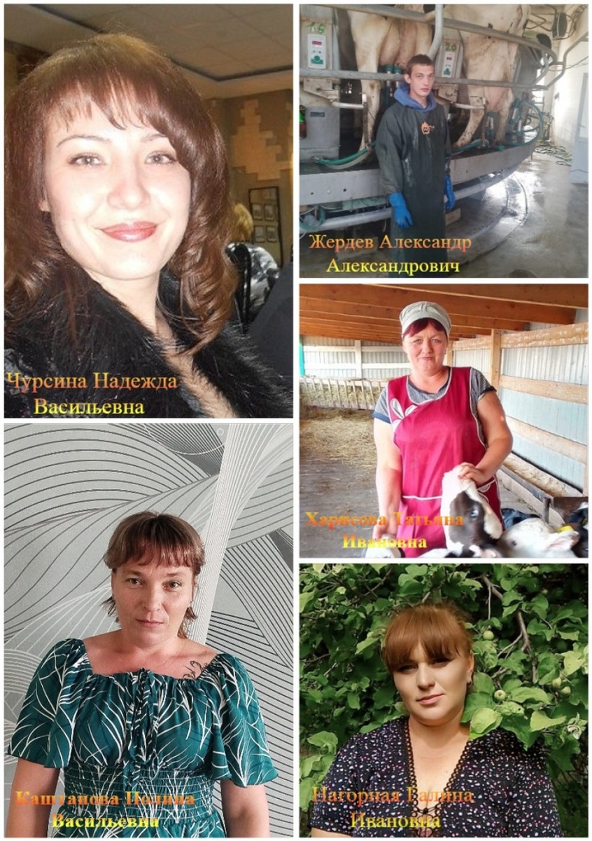     Минсельхоз Оренбуржья представил рейтинг передовиков машинного доения Алла Черкесатова
