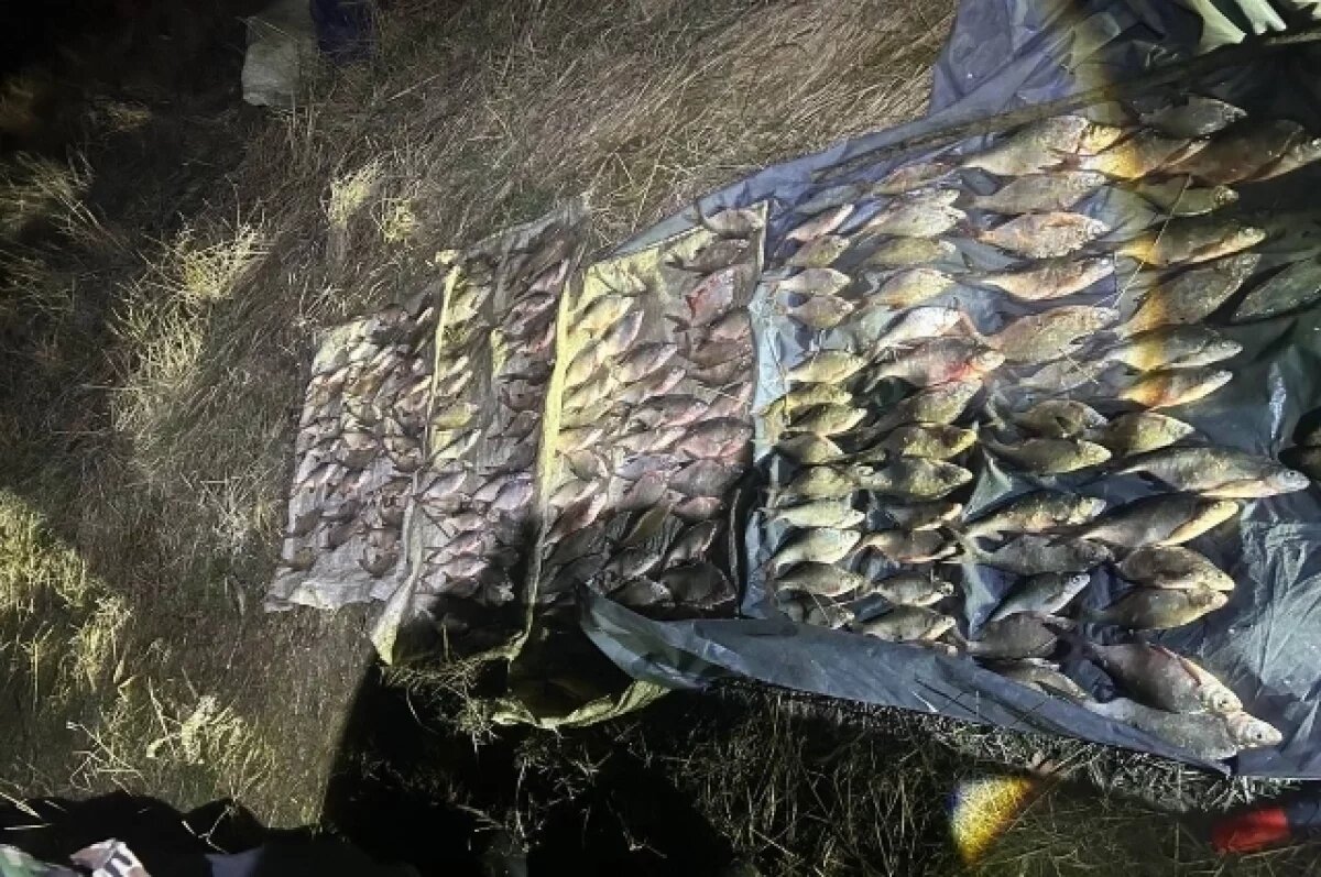    На Кубани за незаконно выловленные 258 особей рыбы мужчине грозит до 5 лет