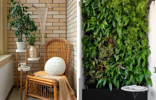 Городской сад круглый год: как вырастить овощи и зелень, если у вас только балкон