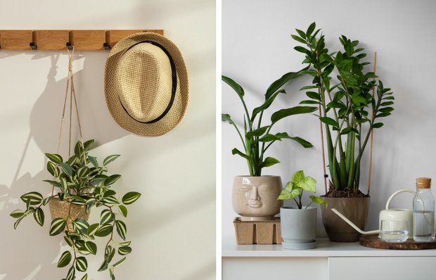 Фото: Designed by Freepik