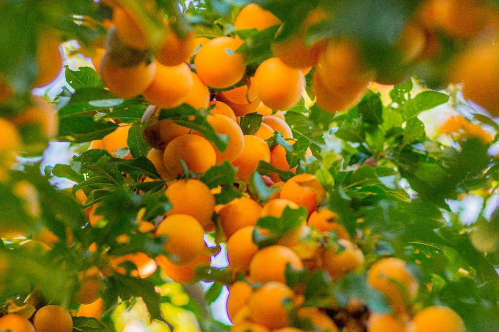    Фото © Unsplash.com / Elena Mozhvilo