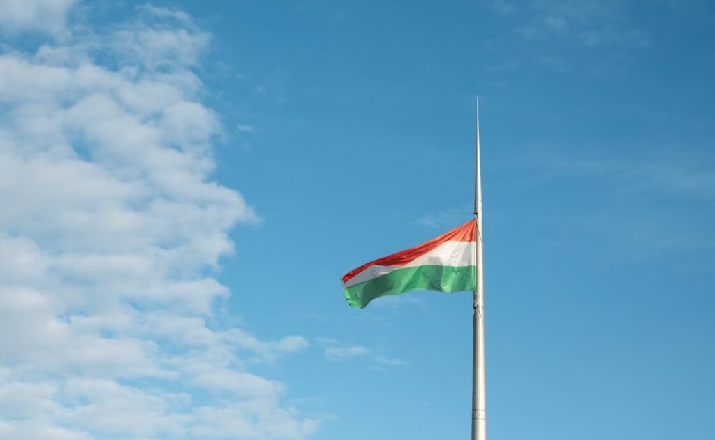    Изображение: Matthieu Levé (unsplash)