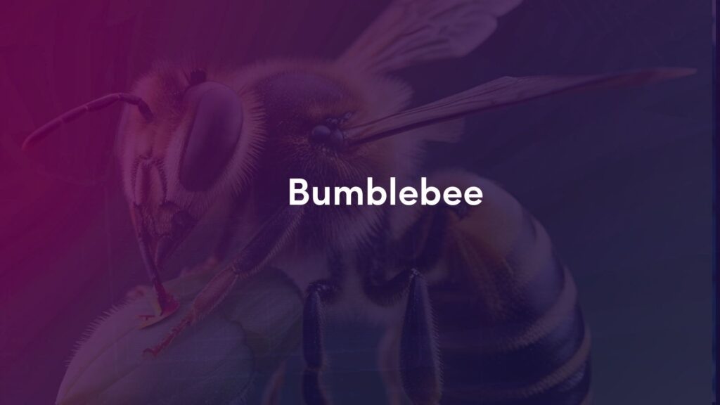    Источник: www.secureblink.com