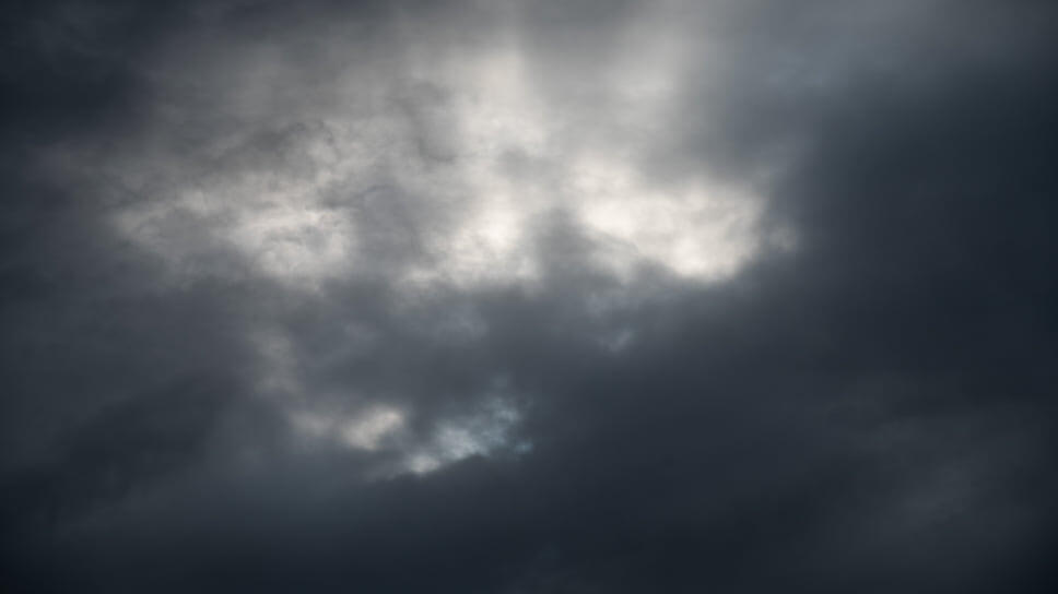 Фото: Олег Харсеев / Коммерсантъ