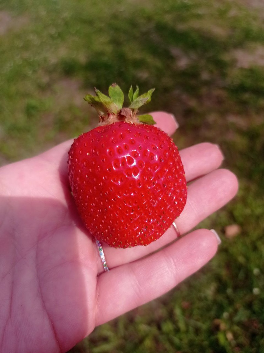 Джоли. Первая ) 12 июня 2025.