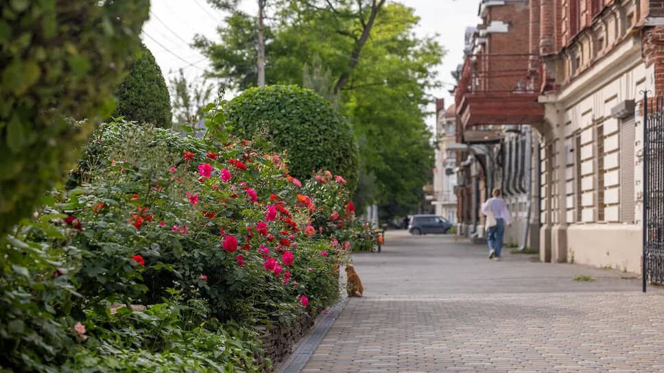 Фото: пресс-служба администрации г.Таганрог