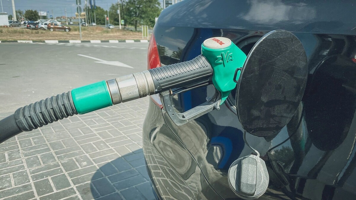     Источник: novostivolgograda.ru