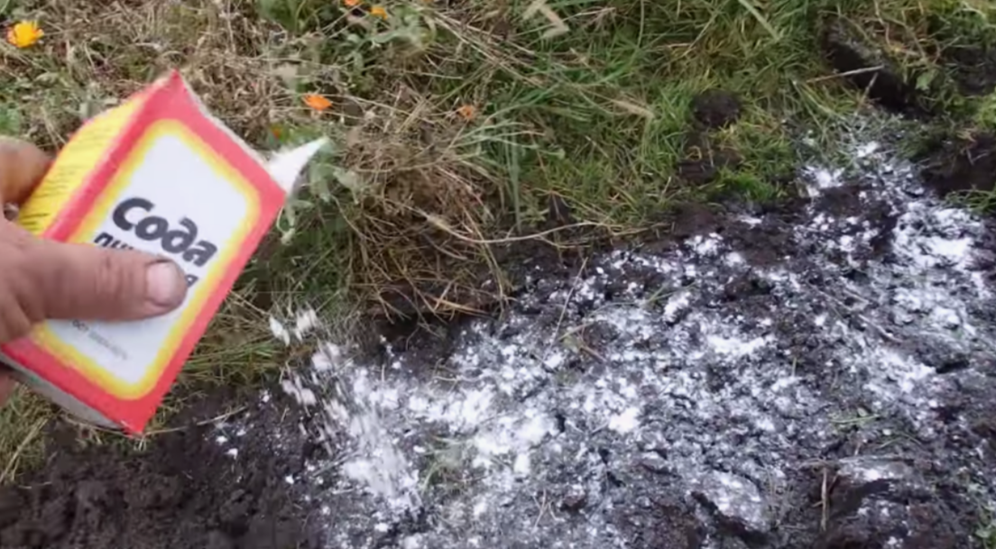 Раскисление почвы