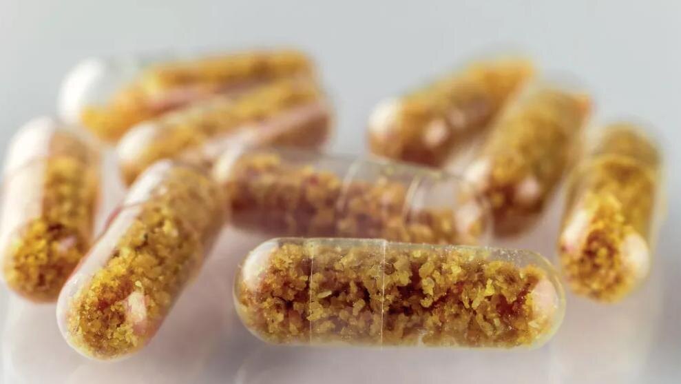 Фото: biocodexmicrobiotainstitute.com