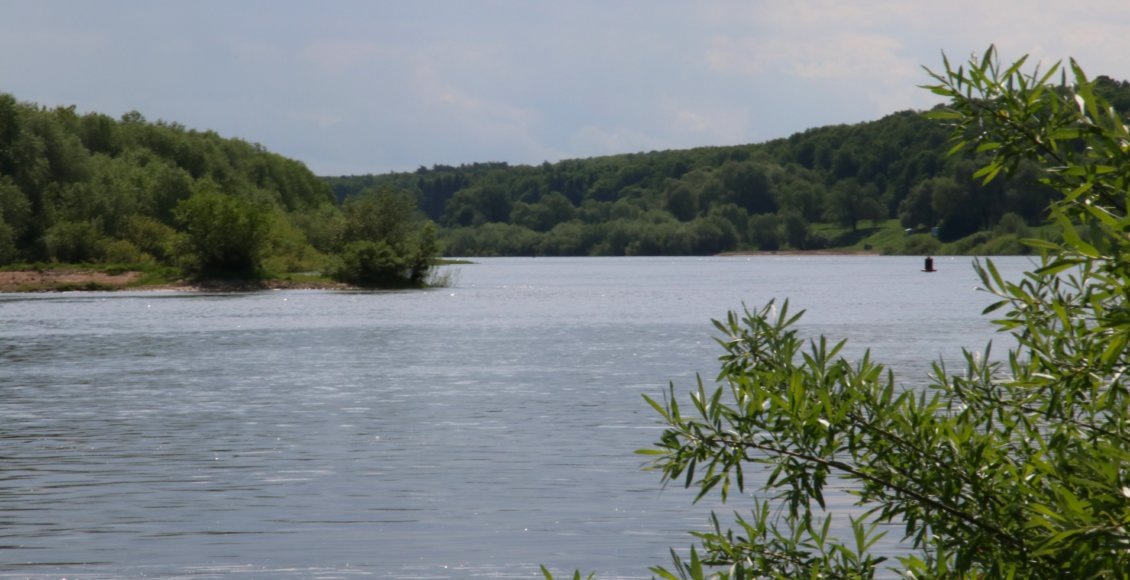    Фото: НИА "Экология"