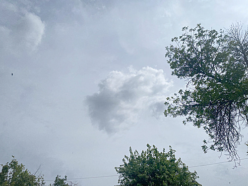    /  ФОТО автора Администратор