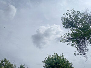 /  ФОТО автора Администратор  📷
