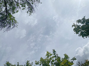 /  ФОТО автора Администратор  📷
