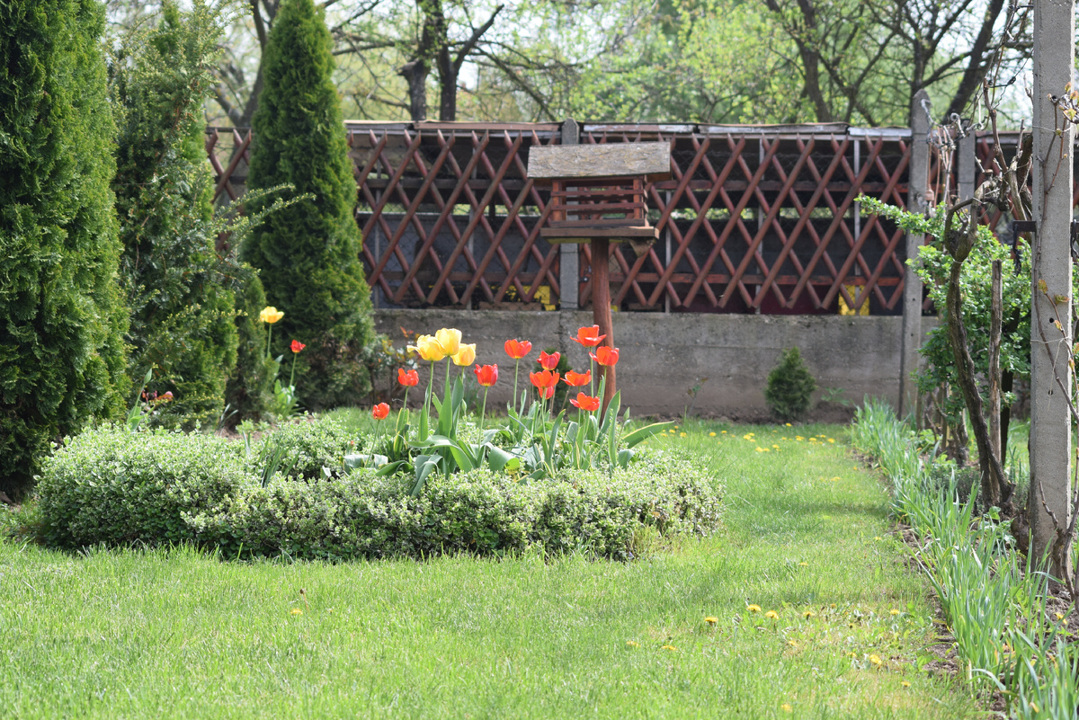 Designed by Freepik. Источник: www.freepik.com