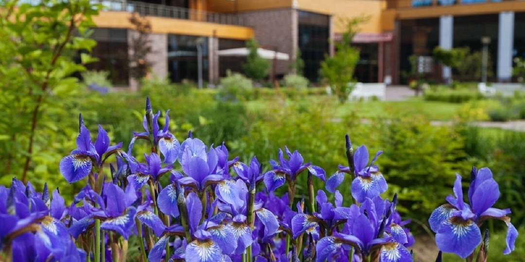 Топ-30 подмосковных отелей для поездки на майские праздники отдых на природе, спа и барбекю