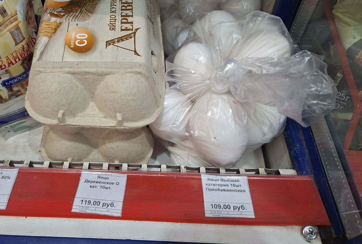    Фото: sibnovosti.ru