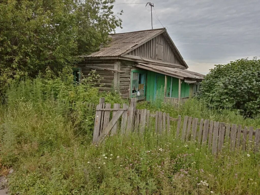    Фото: Амур.инфо