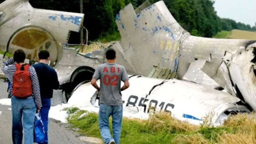 Трагедия над Боденским озером произошла из-за ошибки диспетчера. Фото: newizv.ru/EPA/ИТАР-ТАСС