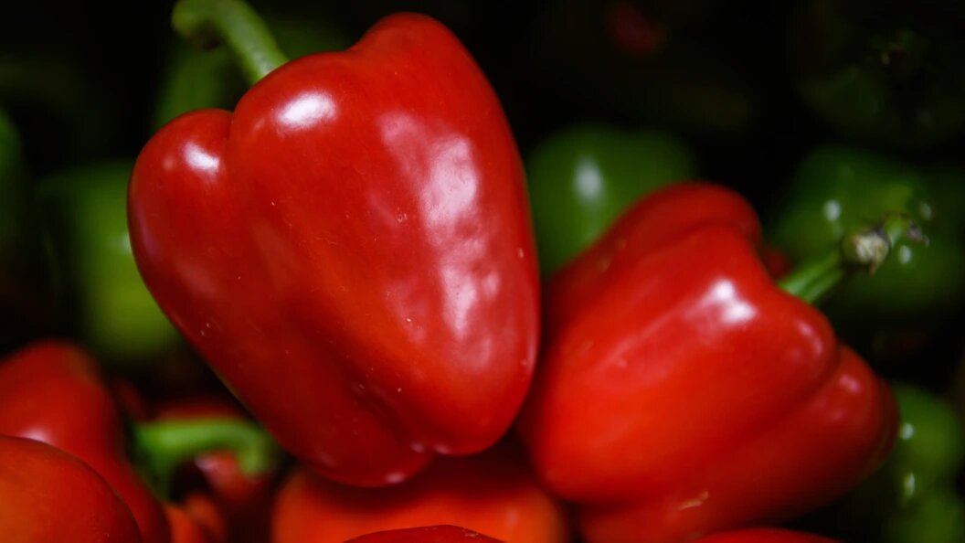    Фото: © Ilya Moskovets/URA.RU/Globallookpress