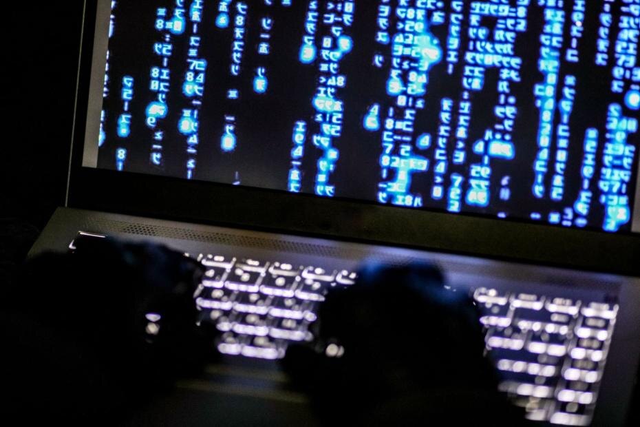    Сергей Лантюхов/NEWS.ru