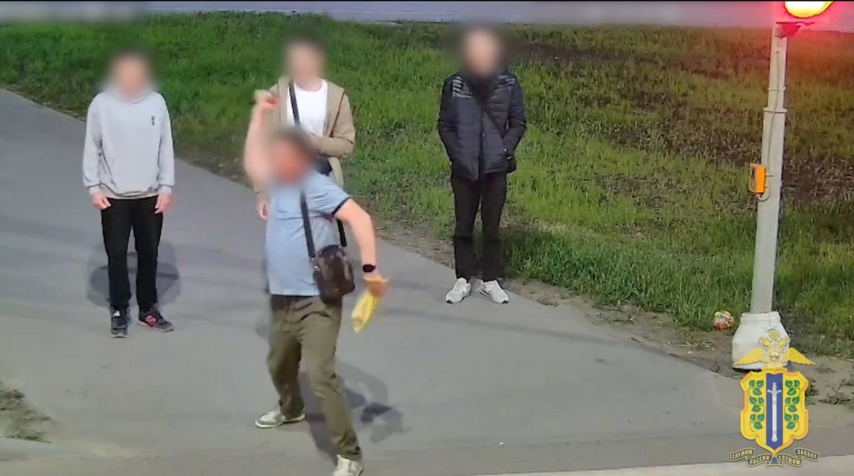    Авто-вандалы в Липецке нанесли ущерб на сотни тысяч рублей УМВД по Липецкой области