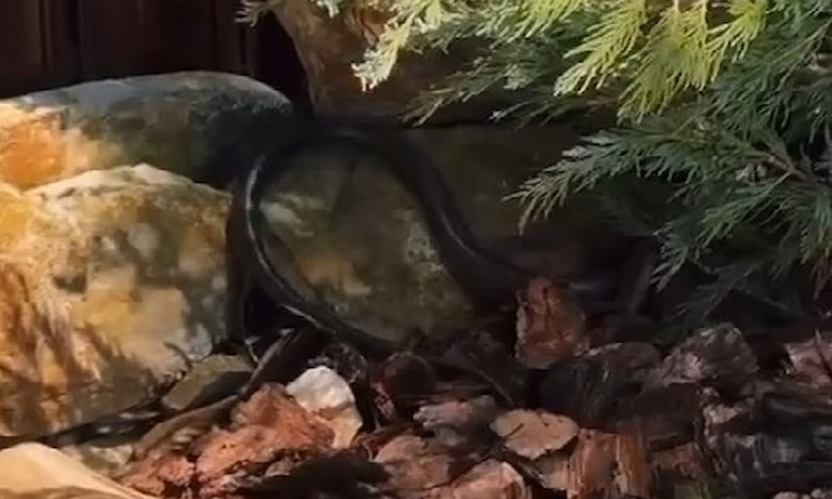    Фото из соцсетей Александры Гавриной