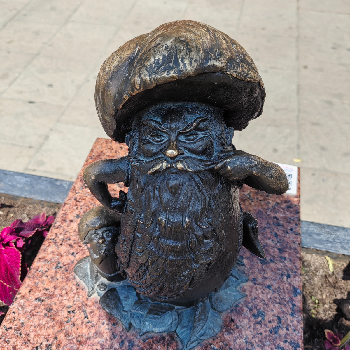 Этот гриб "мужичок Боровичок", мне понравился больше всего