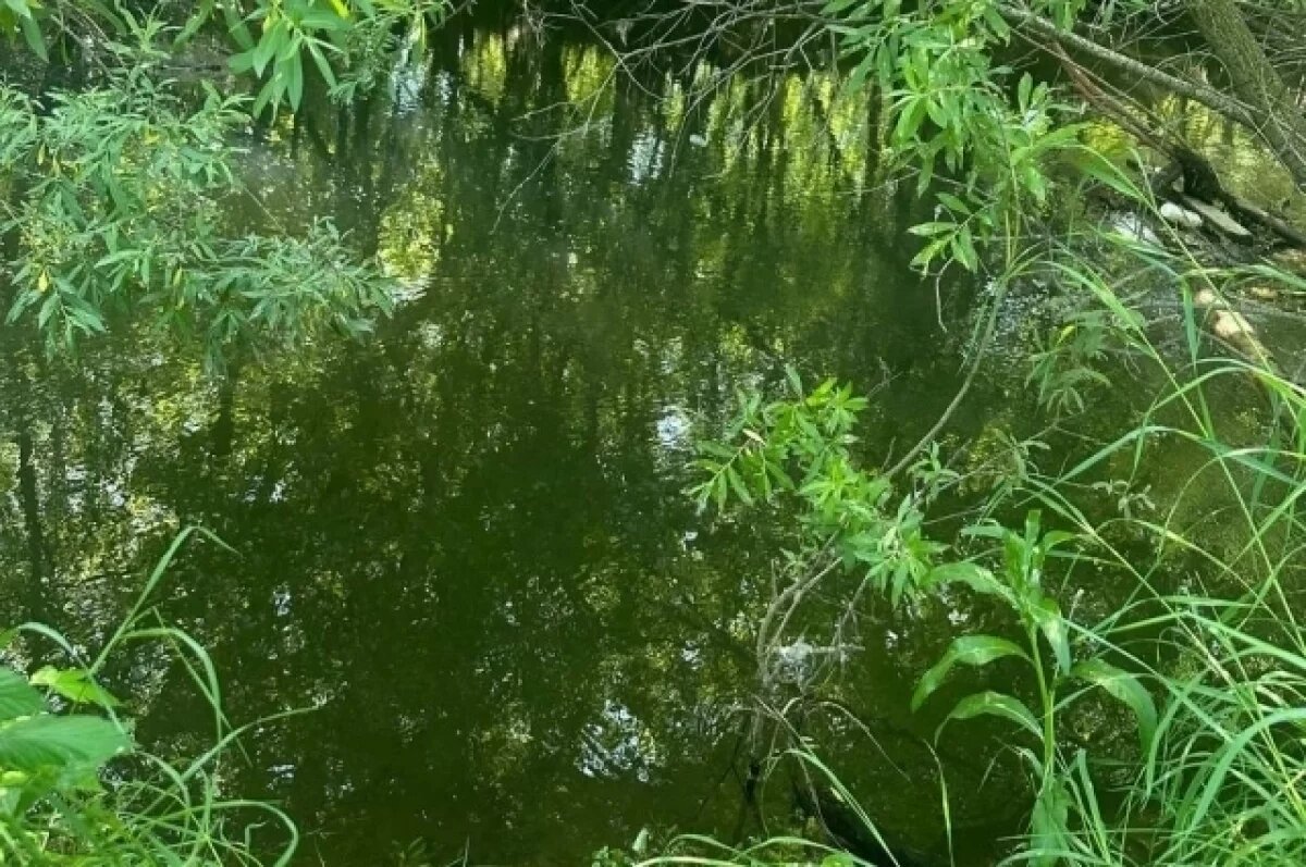    Водоем, где утонул подросток в Канске.