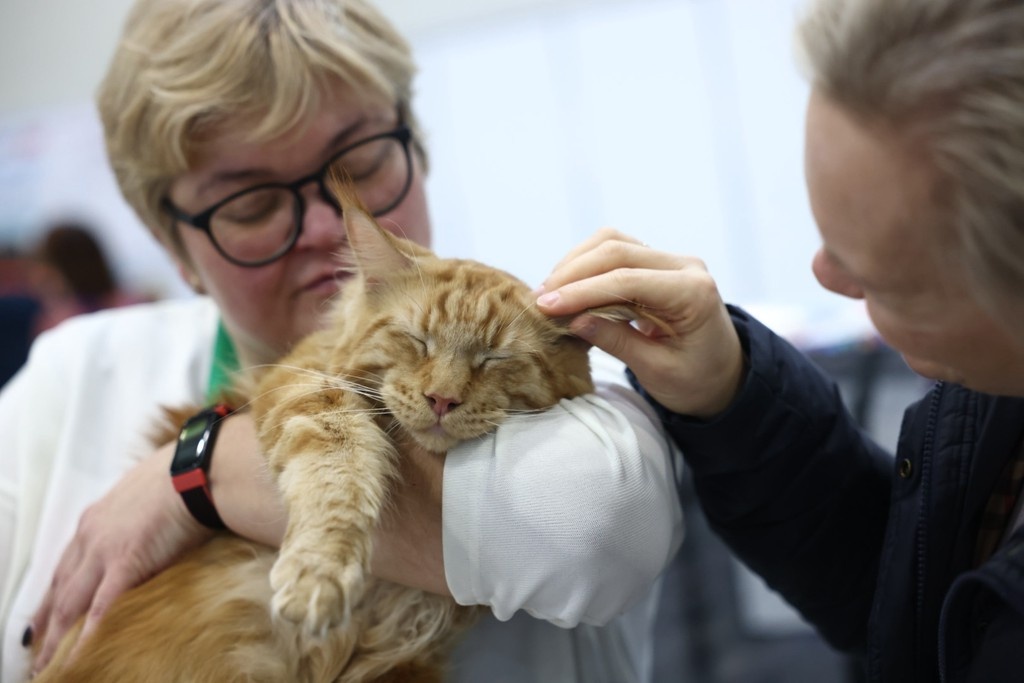    Фото © Владимир Андреев / Абзац