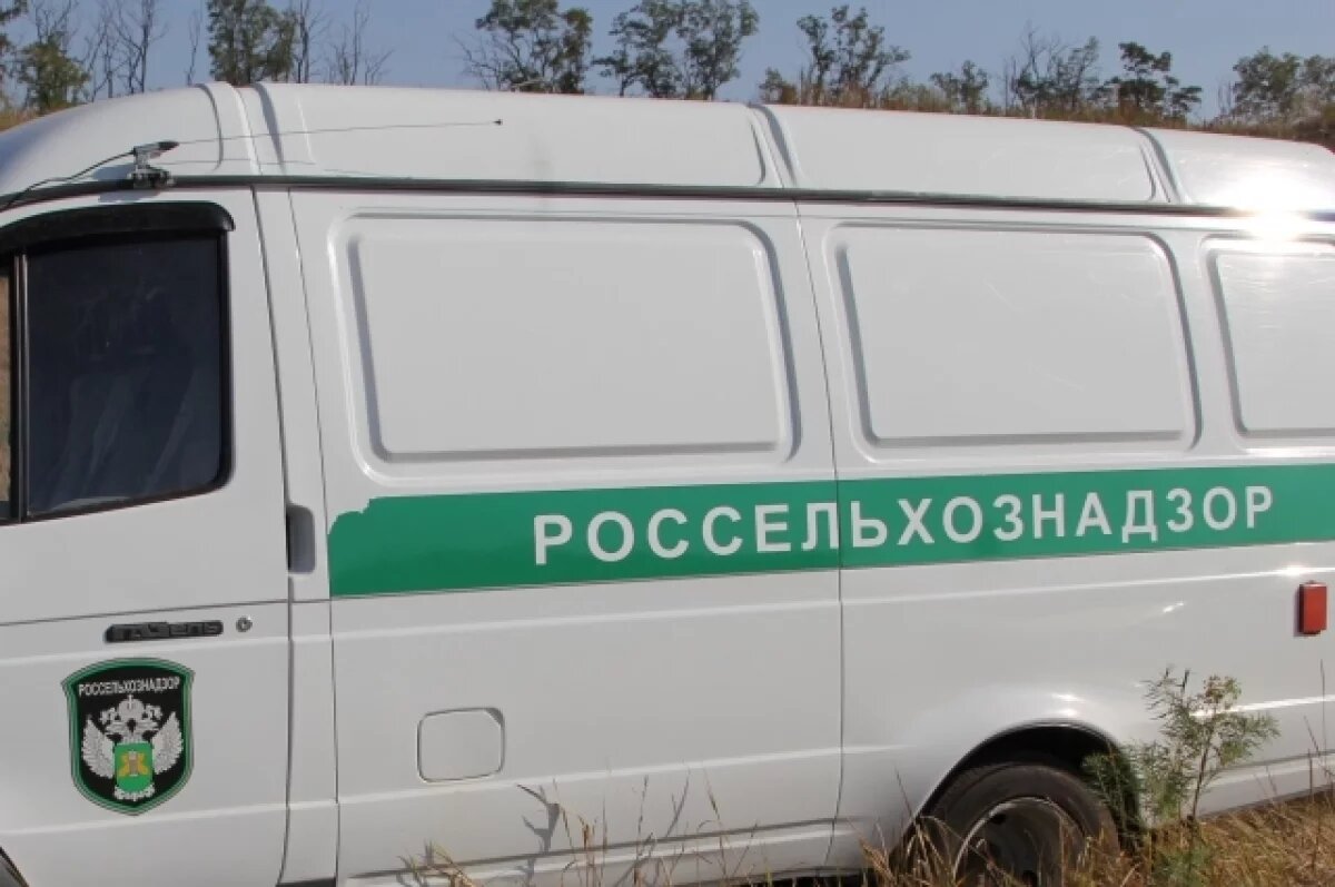    В Прикамье на компанию депутата возбуждено дело из-за неуплаты штрафа