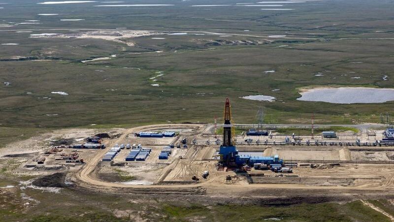    Фото: Андрей Ткачев / «Ямал-Медиа»