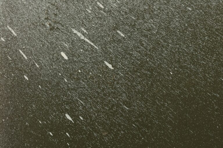    Фото: freepik.com/freepik Ксения Евдокимова