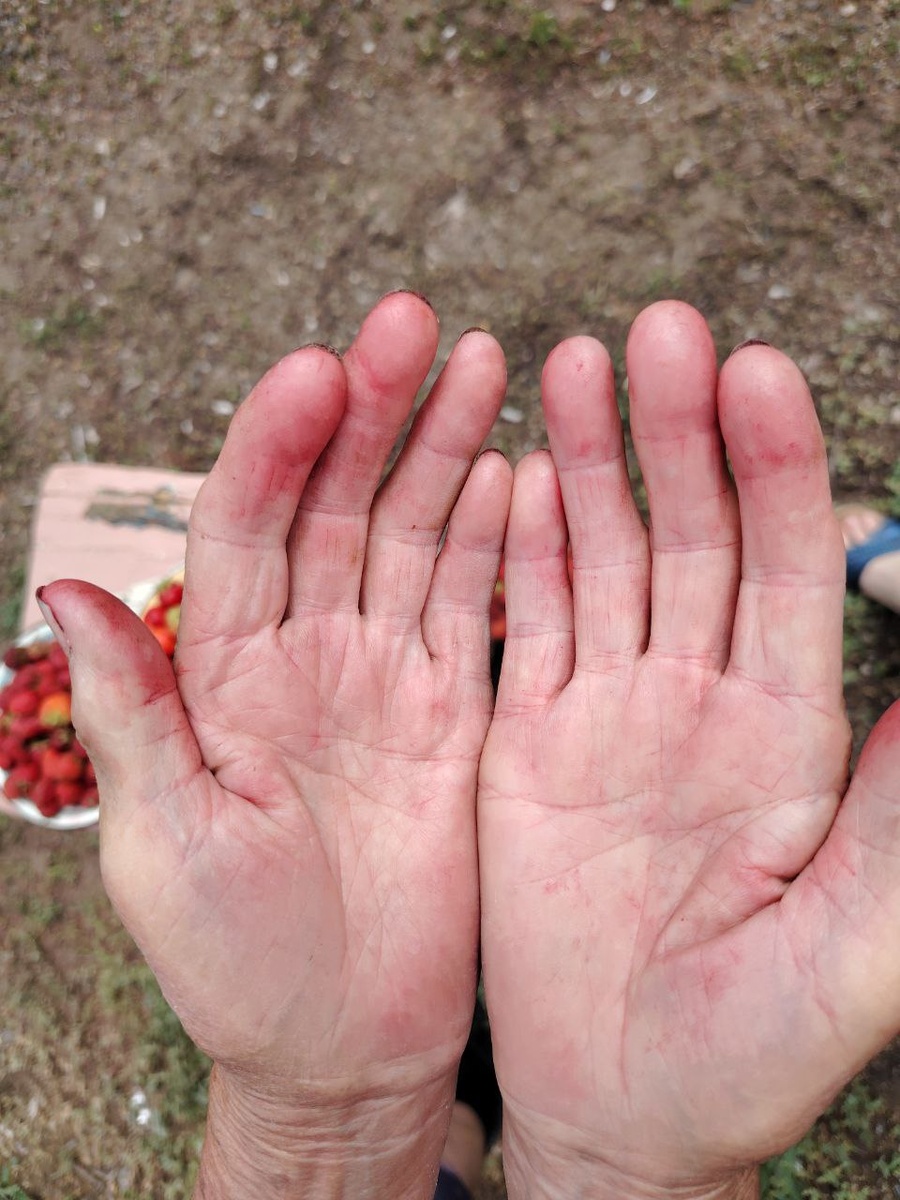 Руки в клубнике)