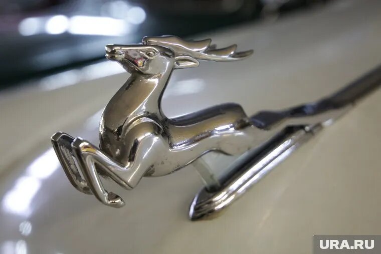 Транспортное средство подходит как для аккуратного хранения, так и для поездок в выходные дни. Фото: Анастасия Яковлева © URA.RU