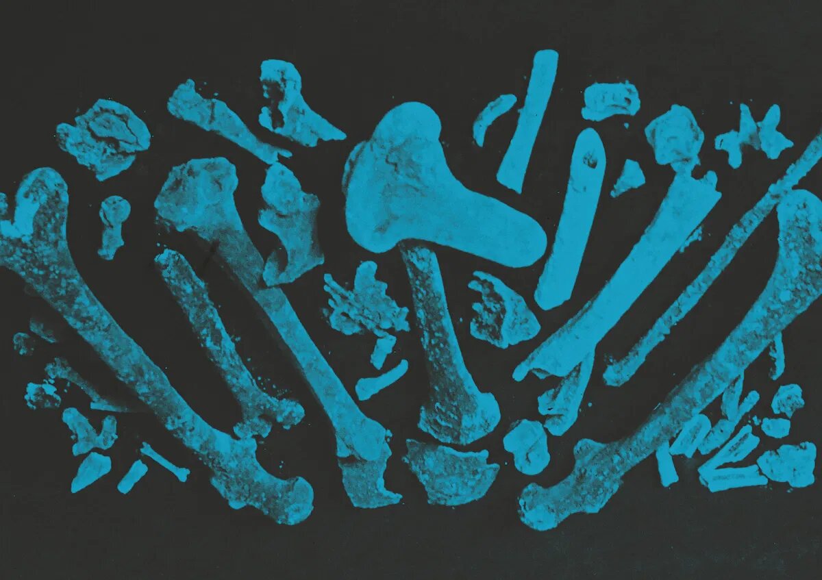 «Останки короля Этельберта найдены в аббатстве Шерборн, 1925», фотография на стеклянной пластине. Библиотека аббатства Шерборн.