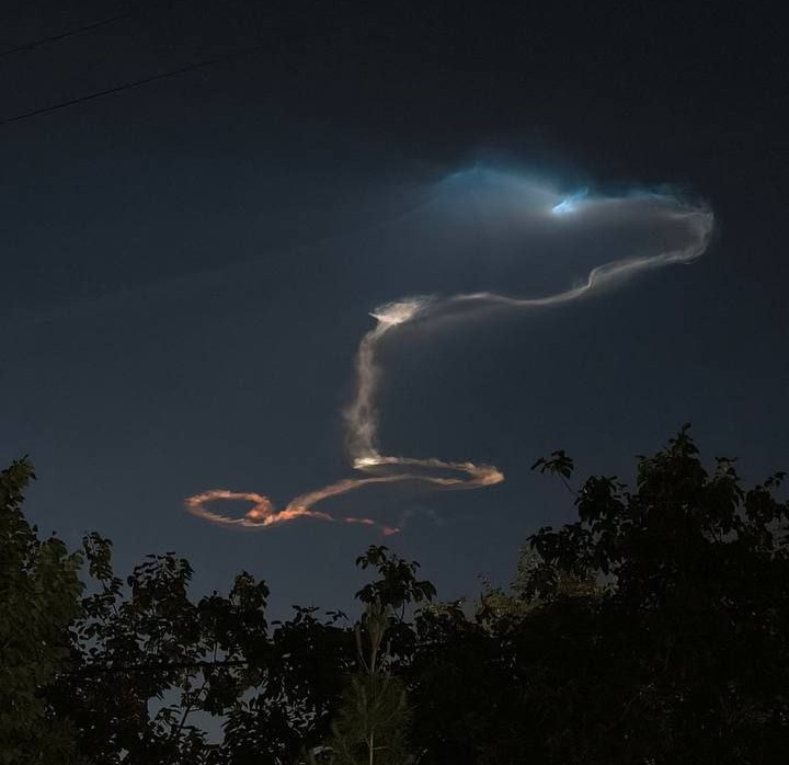 Фото: соцсети