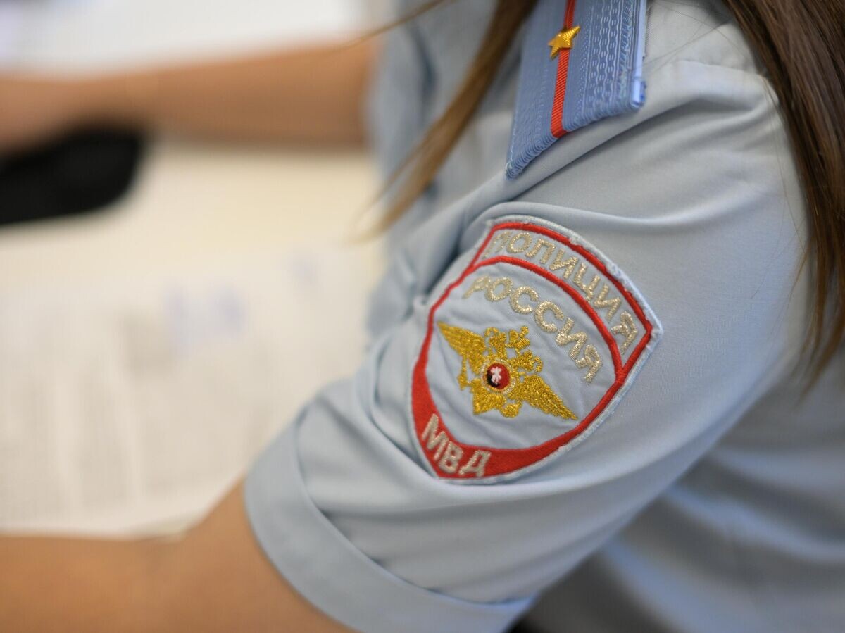    Сотрудник полиции во время работы© РИА Новости / Александр Кряжев