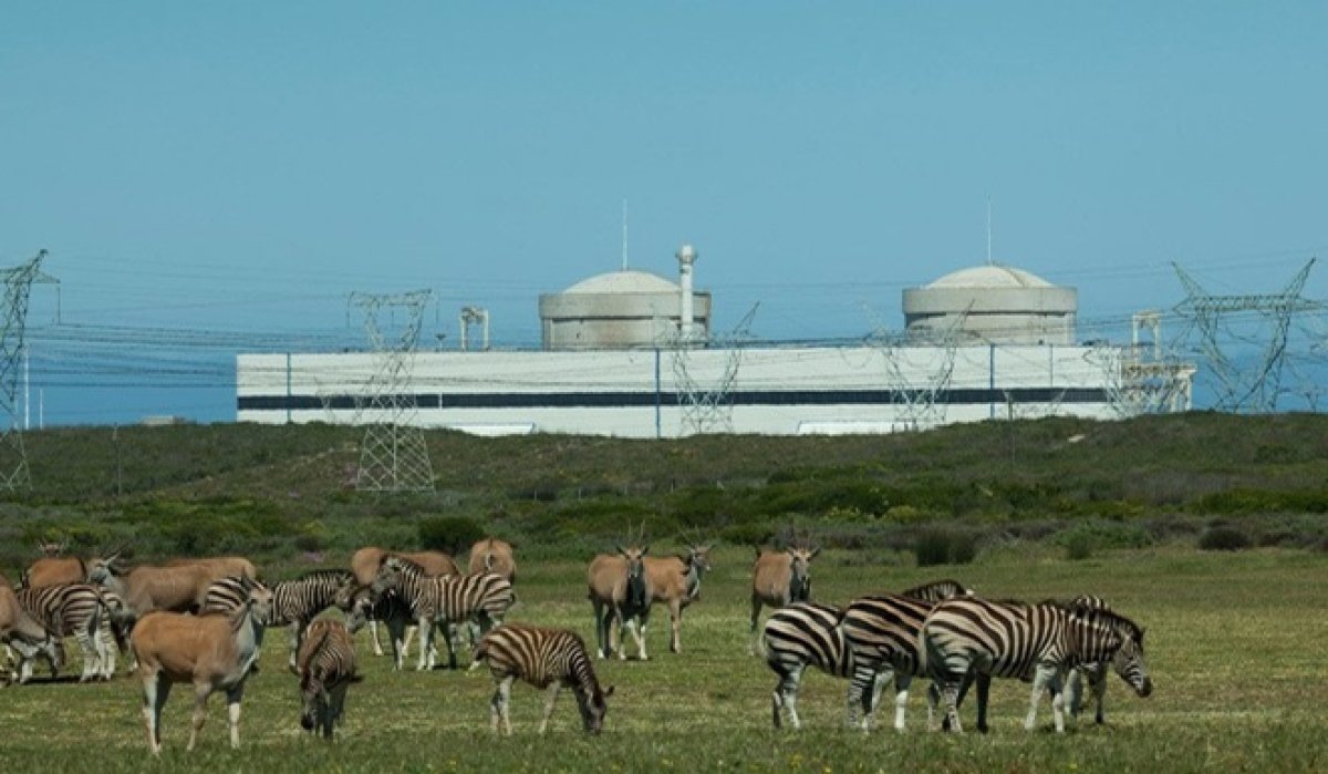 АЭС «Коберг» в Южной Африке