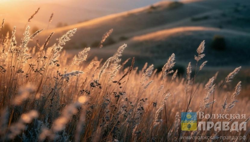     Лучший день для прополки: чем занимались предки волжан 19 июня
