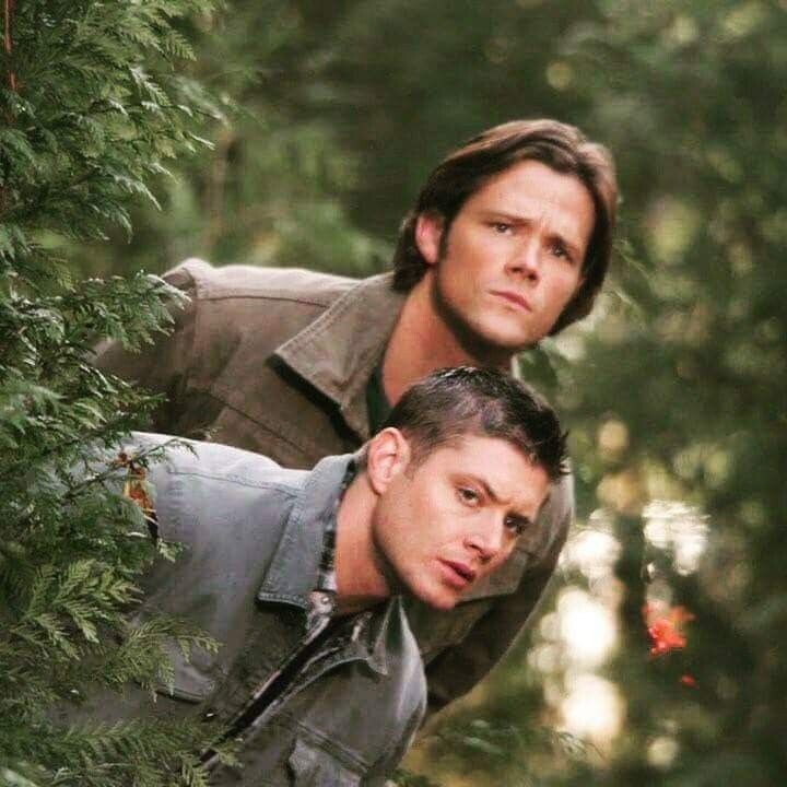 Братья Винчестеры