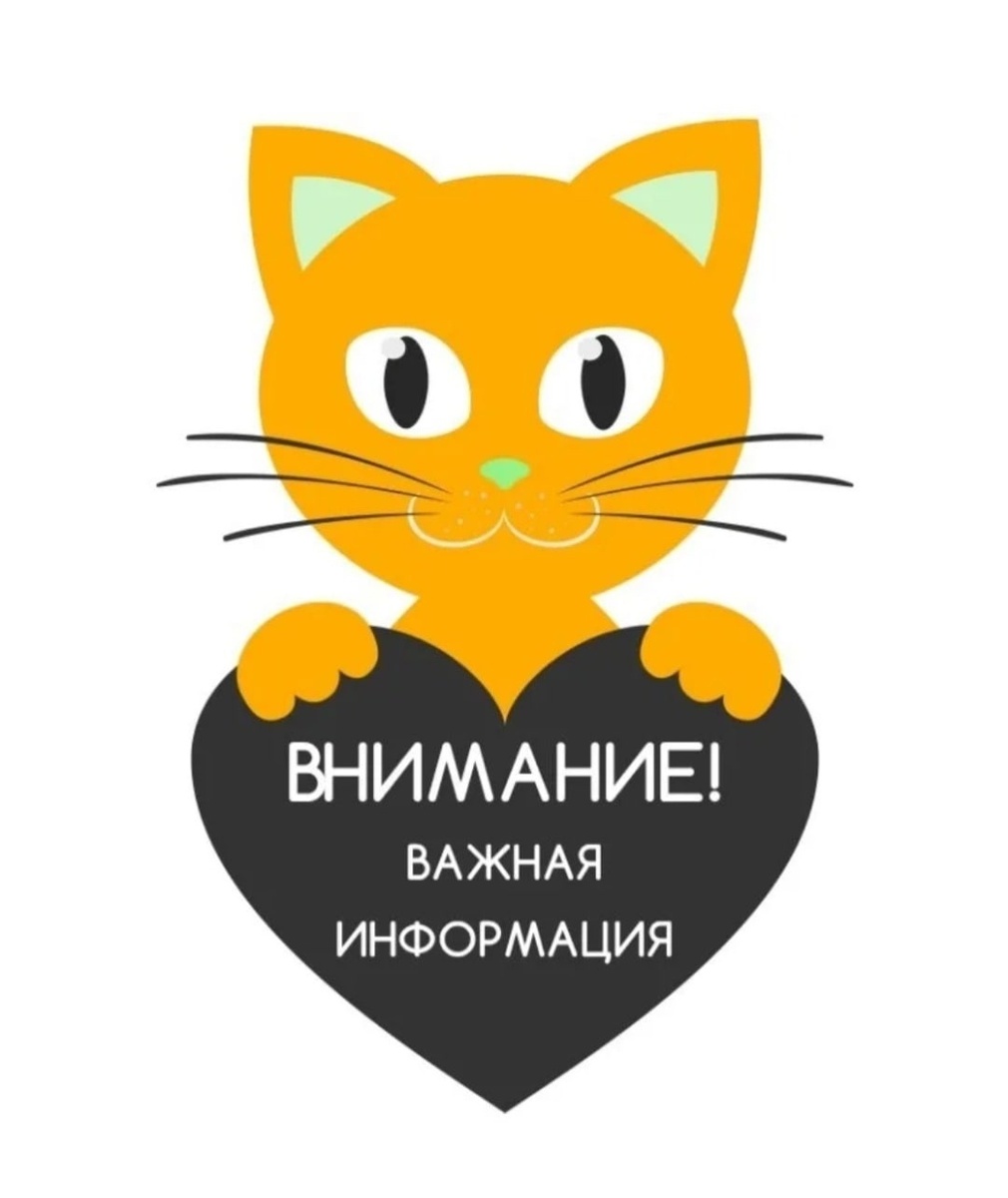 ДОРОГИЕ ПОДПИСЧИКИ!
КАНАЛ "ФОЛИАНТ СВЕТА"
с 27 июня ТОЛЬКО на Rutube
https://rutube.ru/channel/25957718/
Видео будут выходить 2 раза в неделю.
Подписывайтесь! Реакции и КОММЕНТАРИИ (обязательно)
ОБЕЩАЮ, БУДЕТ ИНТЕРЕСНО!
ВАША АКТИВНОСТЬ И ПОДДЕРЖКА БЕСЦЕННА ❤